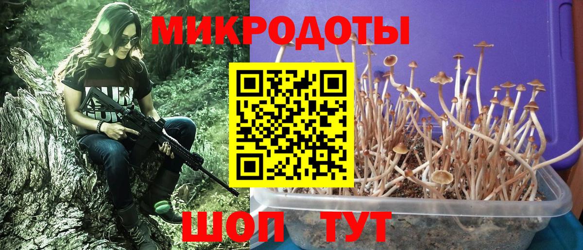 Галлюциногенные грибы Psilocybe  Вход с VPN  Торжок  Галлюциногенные грибы ЛСД 